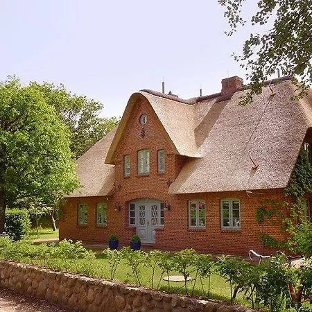 Haus Farnwai Nestfarn *